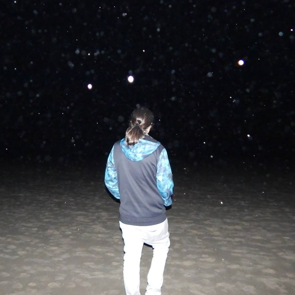 Meet your Posher, Harley - Picture 1 of 1